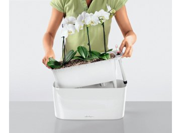 Кашпо Lechuza 15560 DELTA 20