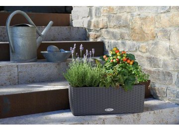 Кашпо Lechuza 15600 BALCONERA Cottage 50