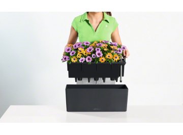 Кашпо Lechuza 15674 BALCONERA Color 50