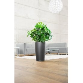 Кашпо Lechuza 15799 RONDO 32