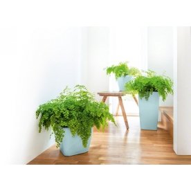 Кашпо Lechuza 16025 CLASSICO LS 21