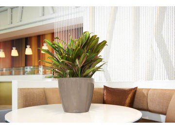 Кашпо Lechuza 16105 CLASSICO LS 50