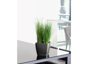 Кашпо Lechuza 16127 QUADRO LS 21