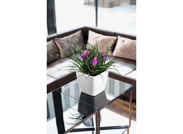 Кашпо Lechuza 16163 QUADRO LS 35