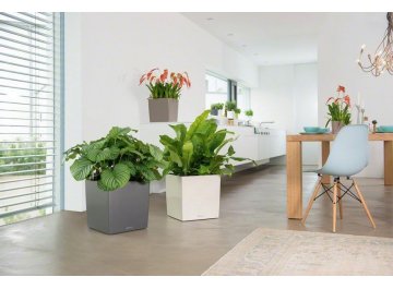 Кашпо Lechuza 16363 CUBE 40