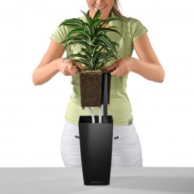 Кашпо Lechuza 18154 MAXI-CUBI