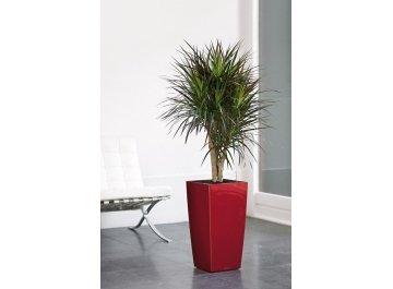 Кашпо Lechuza 18186 CUBICO 30