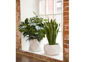 Кашпо Геометри Ромб W38 L38 H30 DSQUARE38-AW