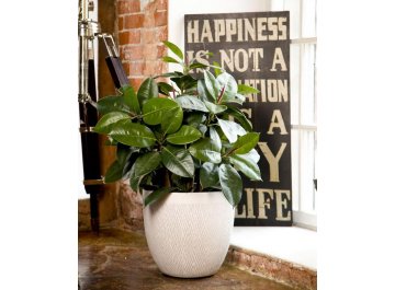 Кашпо Лотус Круглое D26.5 H24.5 MESHR26-AW