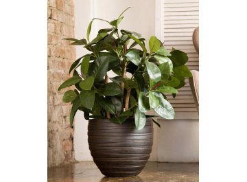 Кашпо Роу Круглое D27 H25.5 ROWR27-B