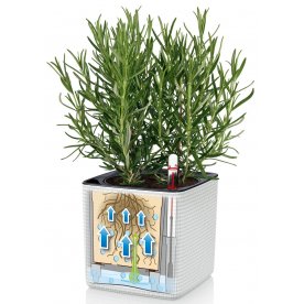 Комплект кашпо Wall Home Kit Color