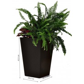 Кашпо Рошель