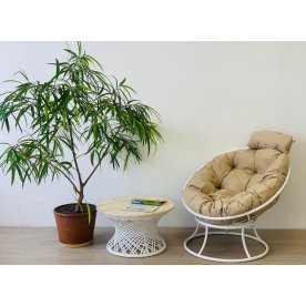 Деревянный стол Бонго мини