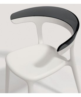 Пластиковый стул PP/luna42-01