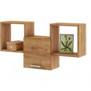 дуб золотистый