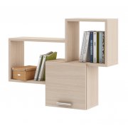 дуб молочный