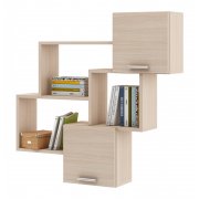 дуб молочный