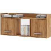 дуб золотистый