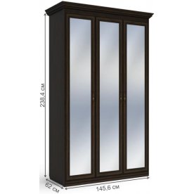 Шкаф Бирель 3