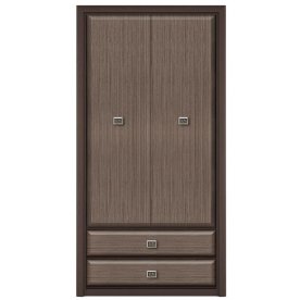 Шкаф Коен REG2D2S