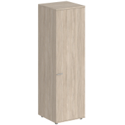 дуб светлый