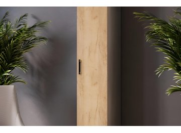 Шкаф Виктория ВИ-7