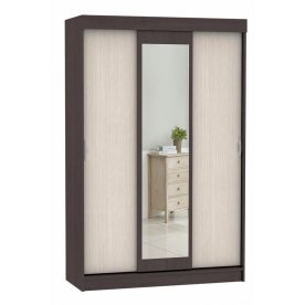 Шкаф-купе Бася