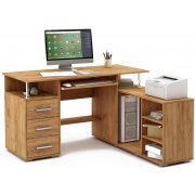 дуб золотистый