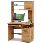 дуб золотистый