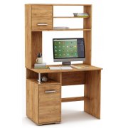 дуб золотистый