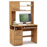 дуб золотистый