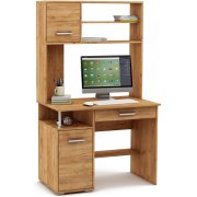 дуб золотистый