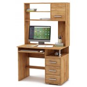 дуб золотистый