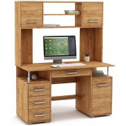 дуб золотистый