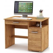 дуб золотистый