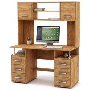 дуб золотистый