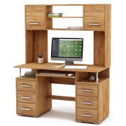 дуб золотистый