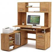 дуб золотистый