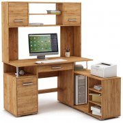 дуб золотистый