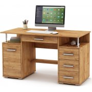 дуб золотистый