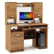 дуб золотистый