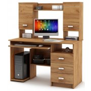 дуб золотистый