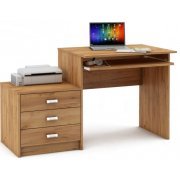 дуб золотистый