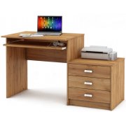 дуб золотистый