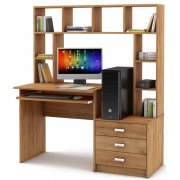 дуб золотистый