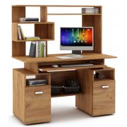 дуб золотистый