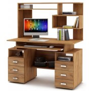 дуб золотистый