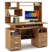 дуб золотистый