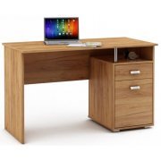 дуб золотистый