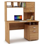 дуб золотистый